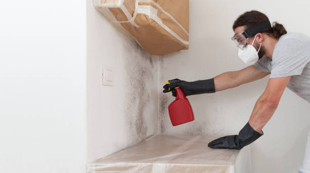 Professional Basement Mold Removal technician working in Cliffwood, NJ